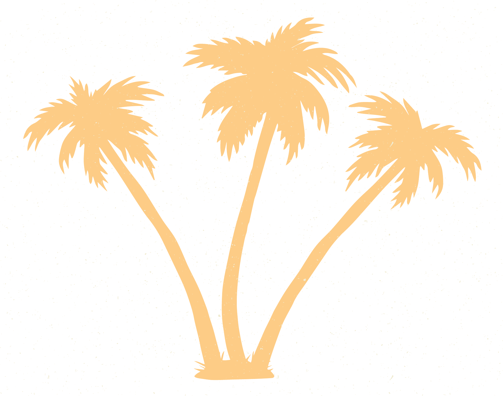 Palm Trees